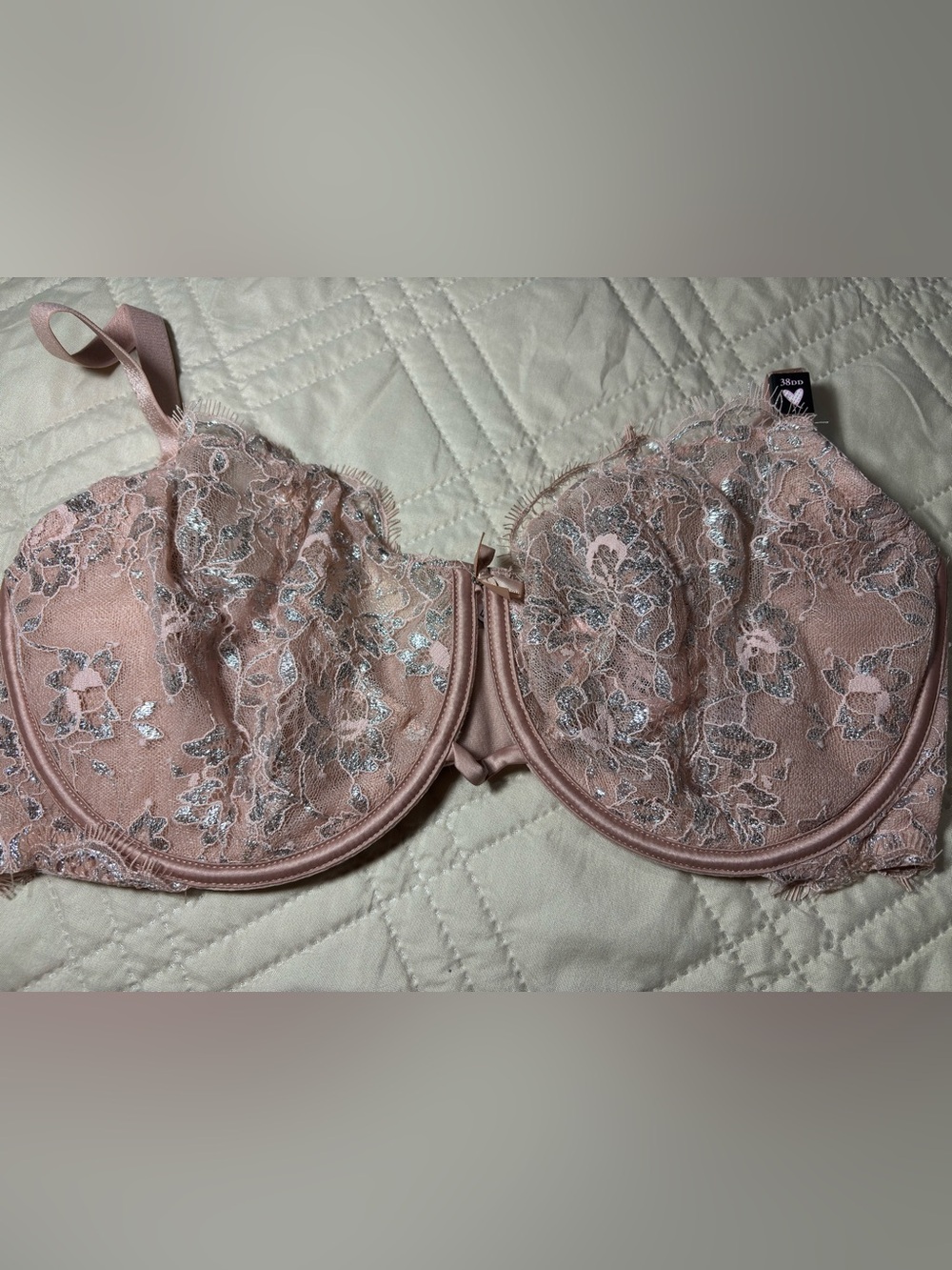 Victoria Secret 38 DD Lace Underwire Bra in Blush Pink and Silver